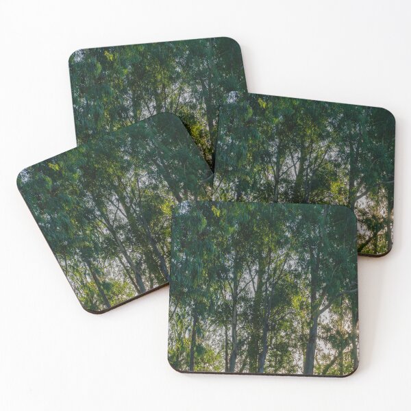 Item preview, Tall Green Trees with Sunlight Filtering Through the Leaves designed and sold by MHSe.