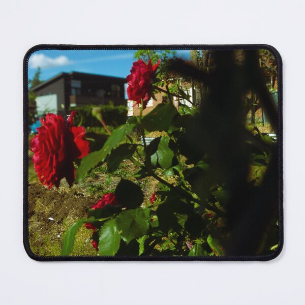 Item preview, Roses designed and sold by hotdog69420.