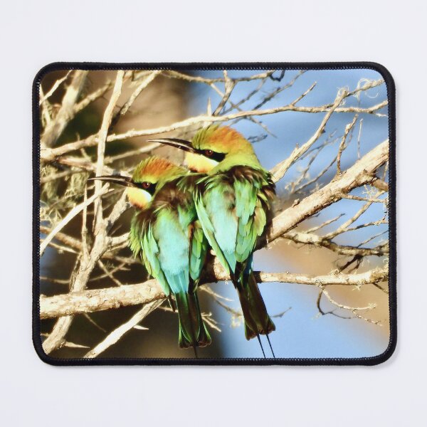 Item preview, Rainbow bee eaters requested by Emma designed and sold by Mark Grimsley.