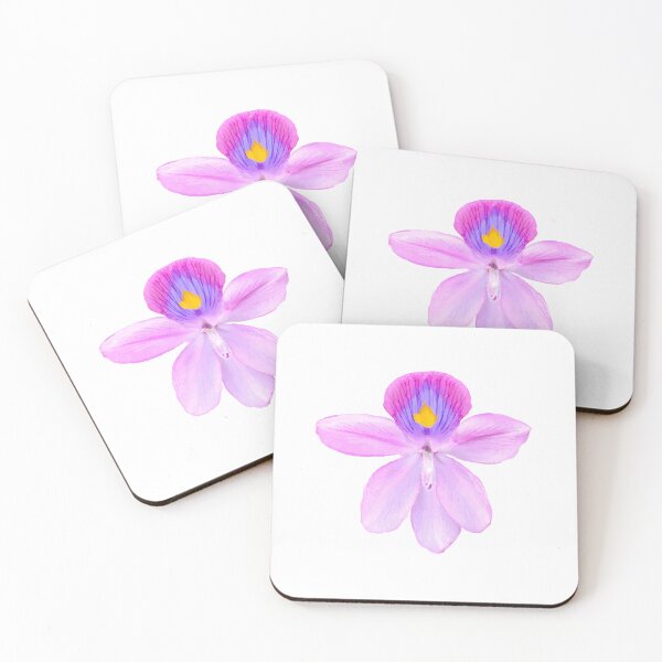 Item preview, pink and purple flowers of Pontederia crassipes (Water-hyacinth). designed and sold by MiMee4451.