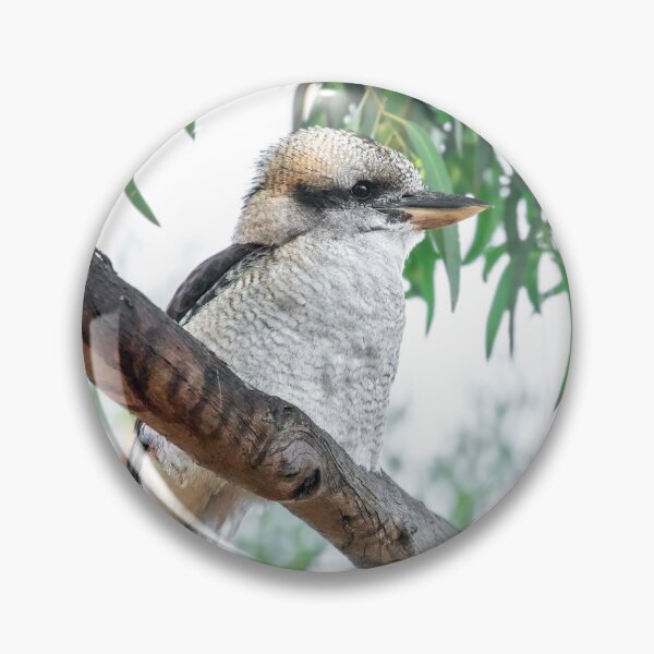 Item preview, Laughing Kookaburra (Dacelo novaeguineae) designed and sold by bella photoaus.