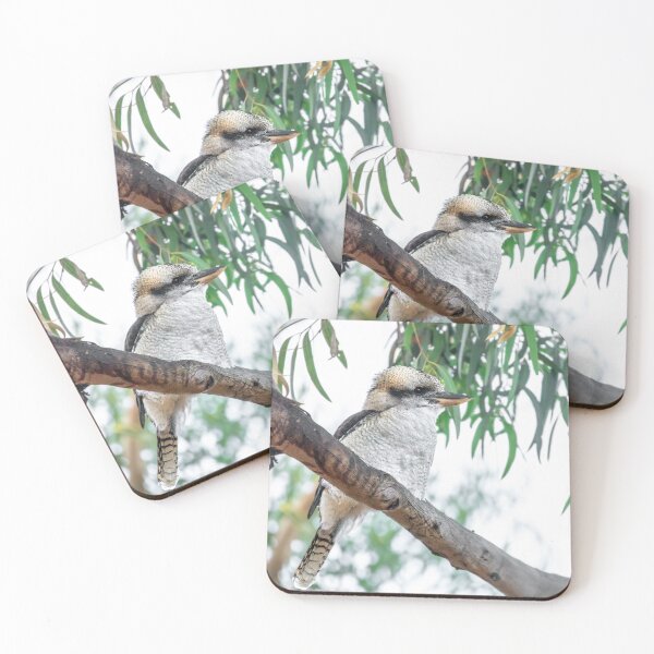 Item preview, Laughing Kookaburra (Dacelo novaeguineae) designed and sold by bella photoaus.