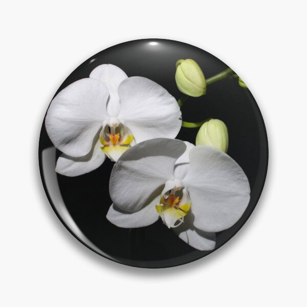 Artikelvorschau, Phalaenopsis-Orchidee entworfen und verkauft von feelingpine.