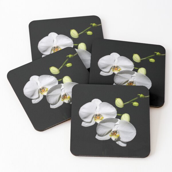 Item preview, Phalaenopsis Orchid designed and sold by feelingpine.