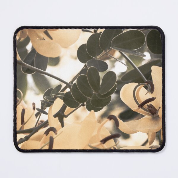Item preview, Soft Focus in a Yellow Flower Tree designed and sold by PhotoArtbyGrace.