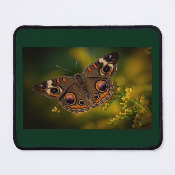 Item preview, Common Buckeye Butterfly  designed and sold by Shannon Emmel .