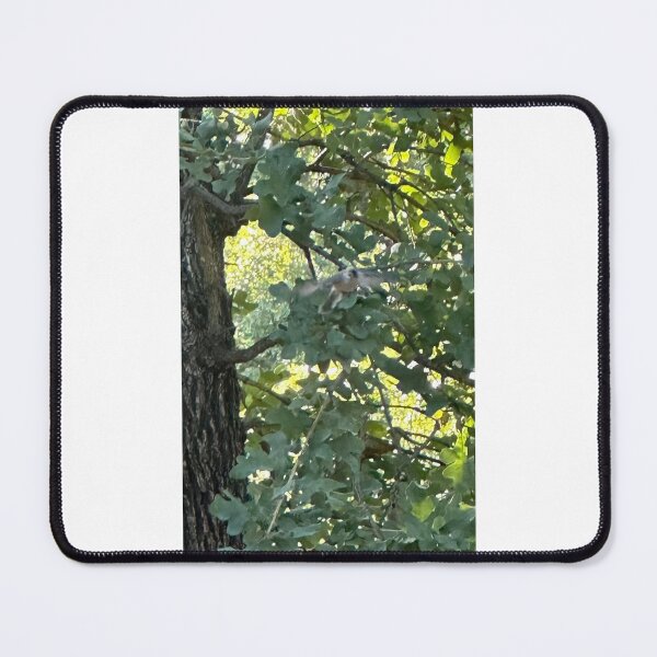 Item preview, Incoming! designed and sold by WhispFeathers.