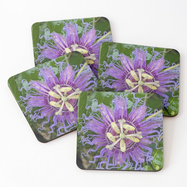 Item preview, Passion Flower designed and sold by SlowPathsDesign.
