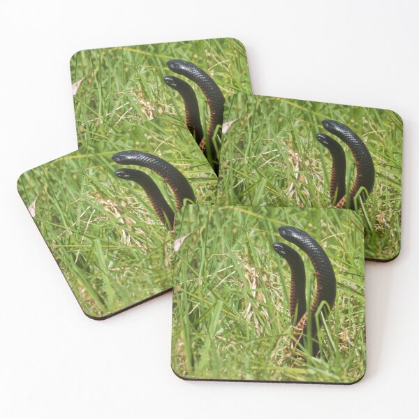 Item preview, The Dance of the Snakes designed and sold by D-GaP.