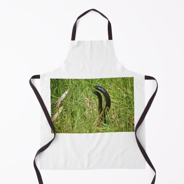 Item preview, The Dance of the Snakes designed and sold by D-GaP.