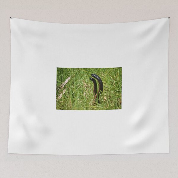 Item preview, The Dance of the Snakes designed and sold by D-GaP.