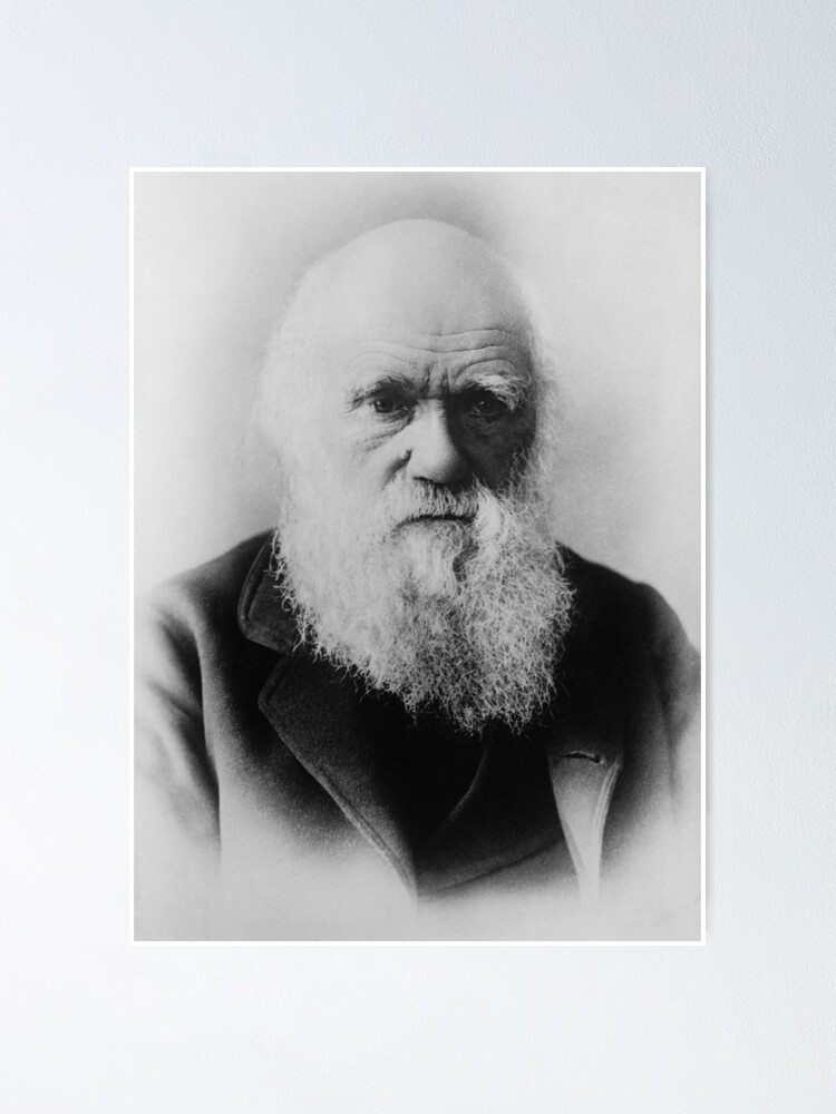 Póster «Charles Darwin - Padre de la teoría evolutiva» de warishellstore |  Redbubble