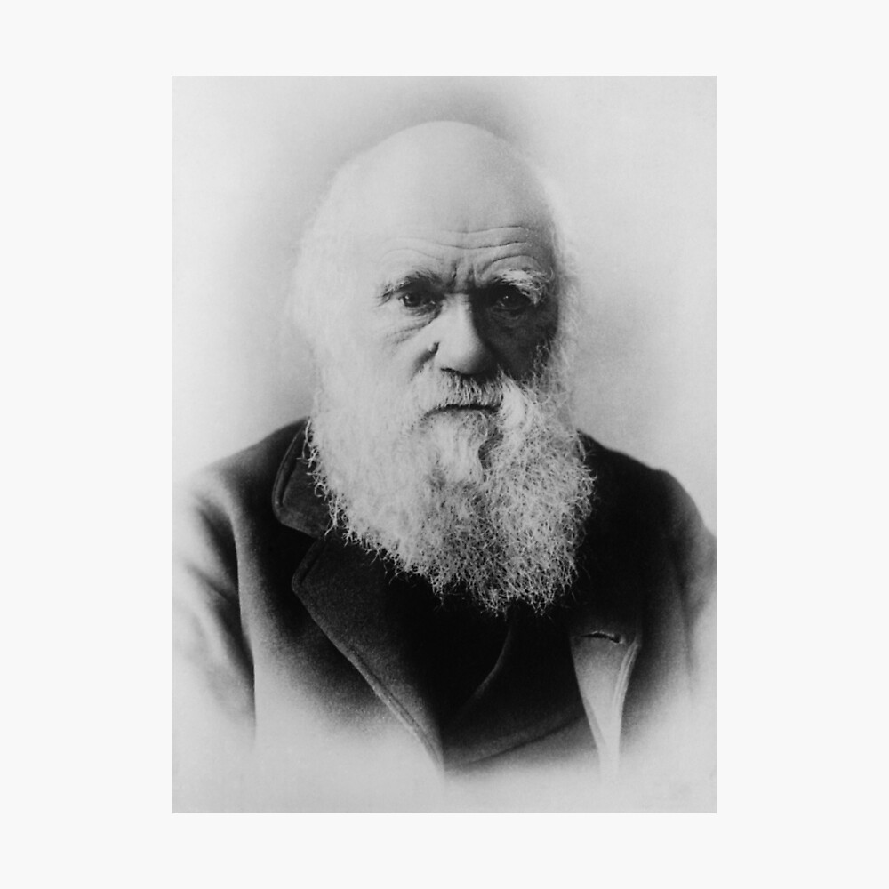 Download Evolutionstheorie charles darwin zitate For iPhone Free