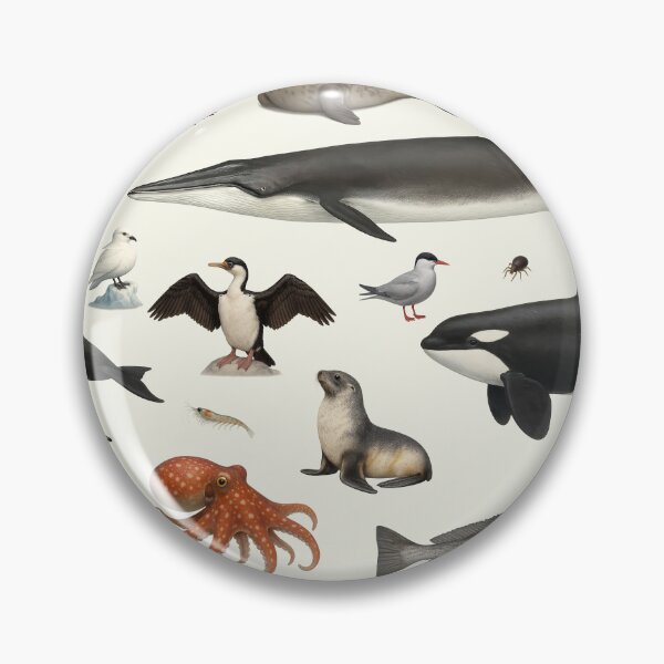 Item preview, Animals of Antarctica Illustration Chart Wildlife Art designed and sold by kakarikihill.