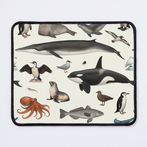 Item preview, Animals of Antarctica Illustration Chart Wildlife Art designed and sold by kakarikihill.