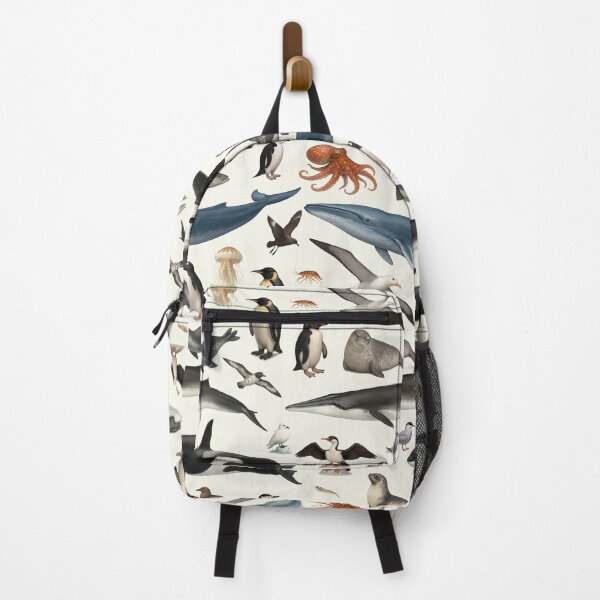 Item preview, Animals of Antarctica Illustration Chart Wildlife Art designed and sold by kakarikihill.