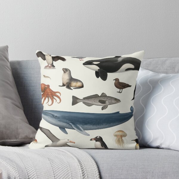 Item preview, Animals of Antarctica Illustration Chart Wildlife Art designed and sold by kakarikihill.