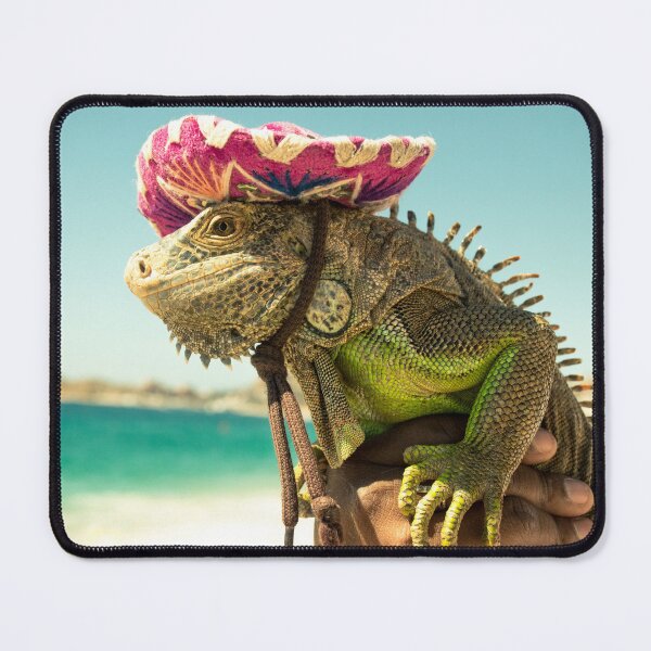 Item preview, Beach Iguana in a Sombrero – Cabo, Mexico designed and sold by macdonald-arts.