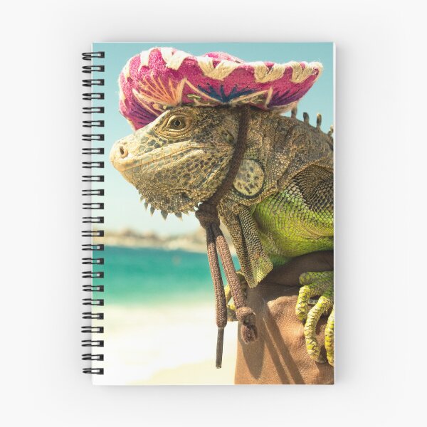 Item preview, Beach Iguana in a Sombrero – Cabo, Mexico designed and sold by macdonald-arts.
