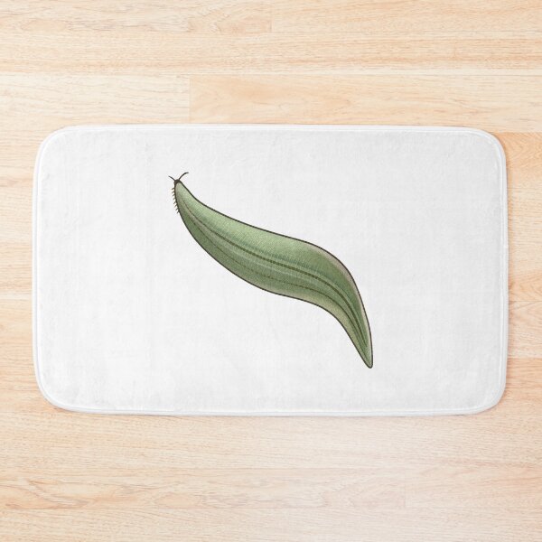 Item preview, Pikaia Illustration, Early Cambrian Chordate Prehistoric Art designed and sold by Vendeloc.