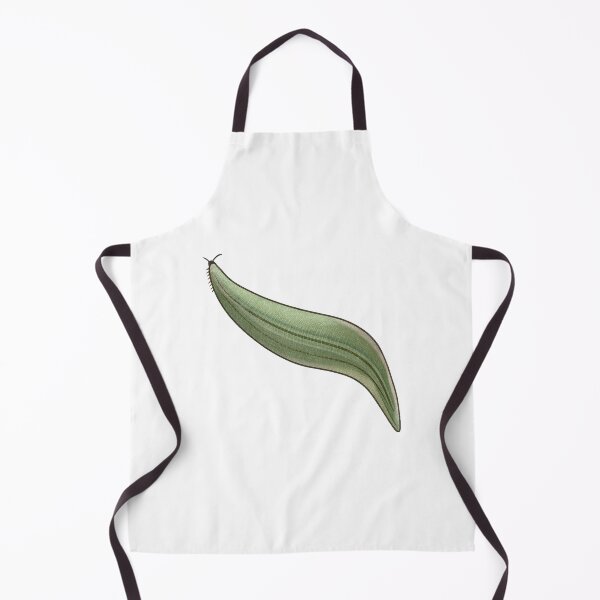 Item preview, Pikaia Illustration, Early Cambrian Chordate Prehistoric Art designed and sold by Vendeloc.