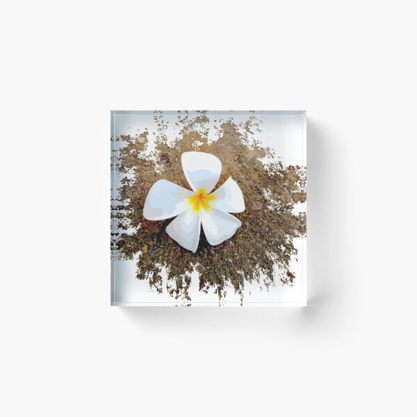 Item preview,  hand drawing flowers of Plumeria, white flowers, (vector illustration).  designed and sold by MiMee4451.