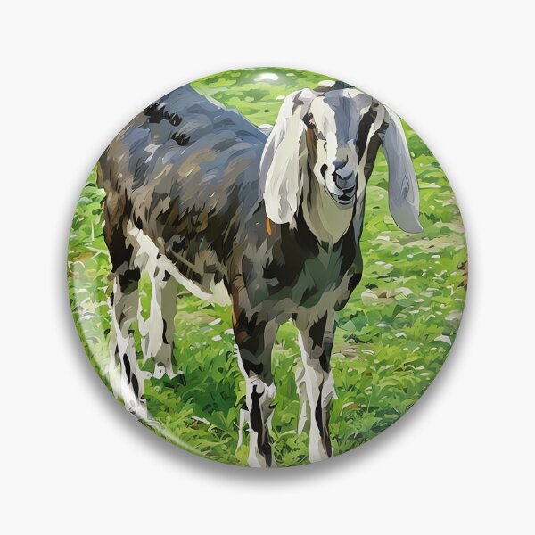 Item preview, Blue roan Nubian goat blue secrets a doe designed and sold by RobynPeters1836.
