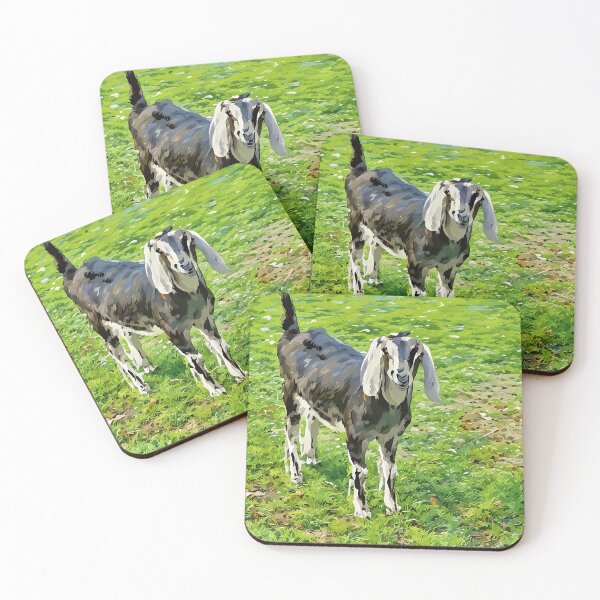 Item preview, Blue roan Nubian goat blue secrets a doe designed and sold by RobynPeters1836.