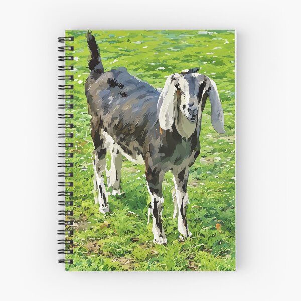 Item preview, Blue roan Nubian goat blue secrets a doe designed and sold by RobynPeters1836.