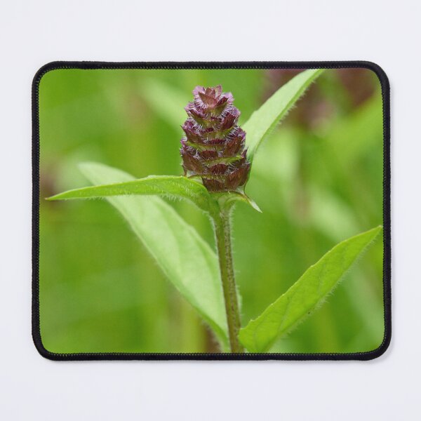 Item preview, Heart of the earth. Self-heal designed and sold by Jouko Lehto Photography.