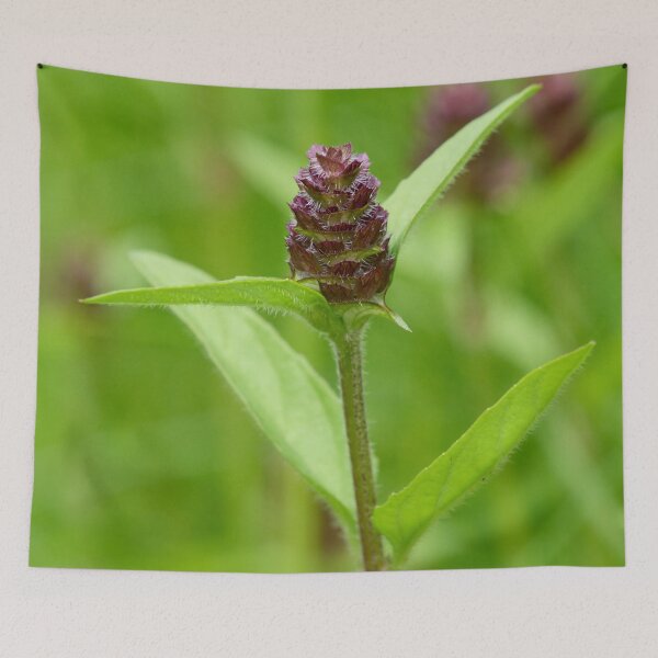 Item preview, Heart of the earth. Self-heal designed and sold by Jouko Lehto Photography.