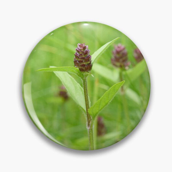 Item preview, Woundwort. Self-heal designed and sold by Jouko Lehto Photography.
