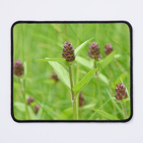 Item preview, Woundwort. Self-heal designed and sold by Jouko Lehto Photography.