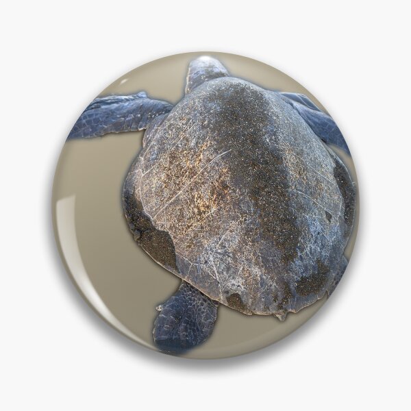 Item preview, Cute sea turtle | unique photo art designed and sold by DiveDuke.