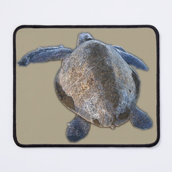Item preview, Cute sea turtle | unique photo art designed and sold by DiveDuke.