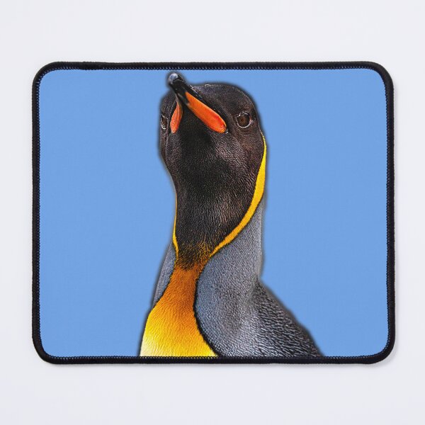 Item preview, Cute penguin portrait | unique photo art designed and sold by DiveDuke.