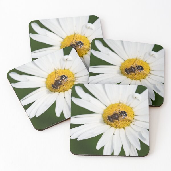 Item preview, European drone fly on Oxeye Daisy designed and sold by Jouko Lehto Photography.