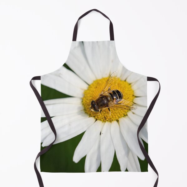 Item preview, European drone fly on Oxeye Daisy designed and sold by Jouko Lehto Photography.