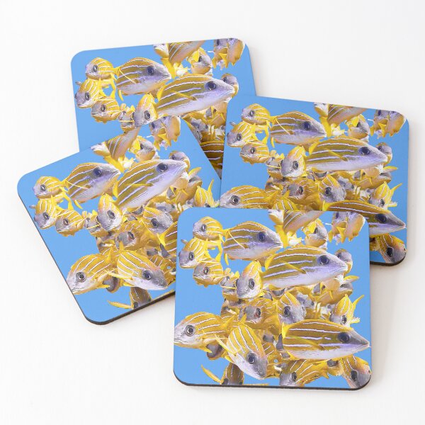Item preview, Cute fish in the ocean | unique photo art designed and sold by DiveDuke.