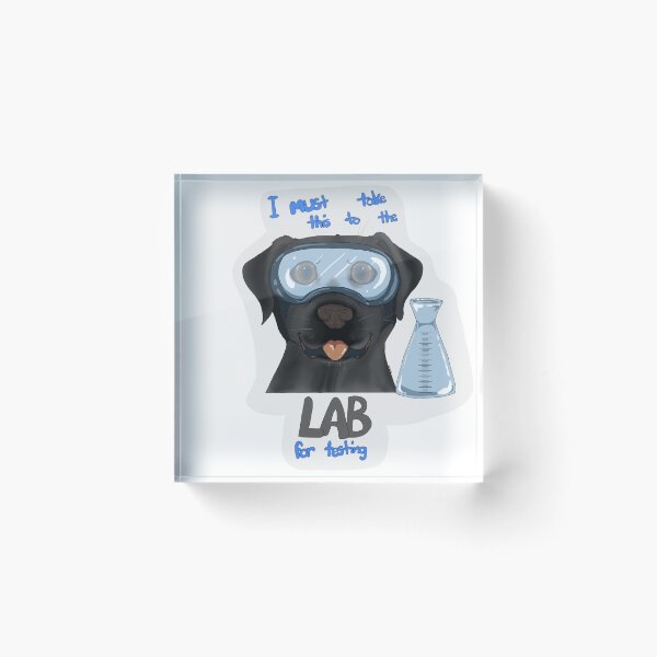 Item preview, Black lab designed and sold by Noodle Dragon Design - Curled up in creativity.