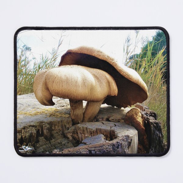 Item preview, Mushrooms in Tree Stump designed and sold by Yolanda Caporn Art.