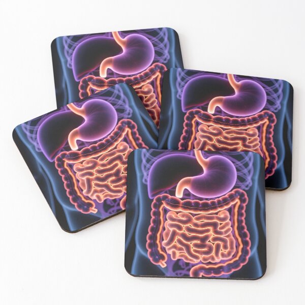 Item preview, Human Digestive System Anatomy Medical Education designed and sold by Nene's design.