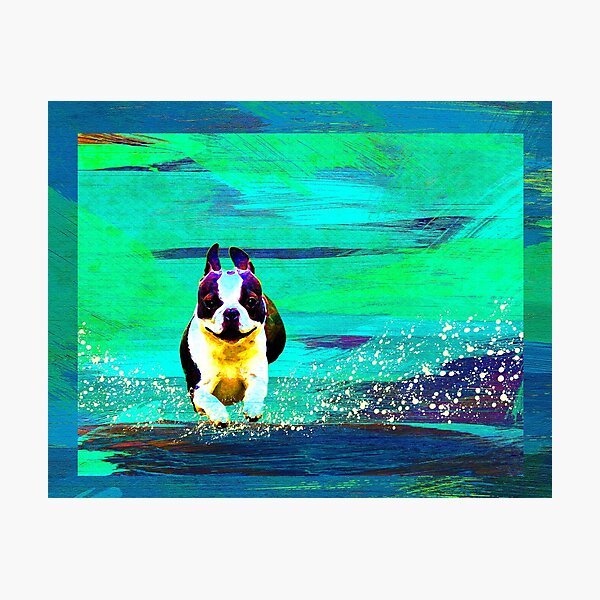 Item preview, Boston Terrier  designed and sold by happypetarts.