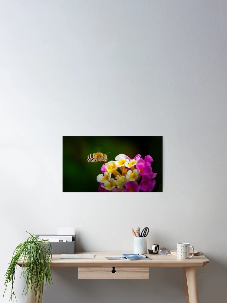 Thumbnail 2 of 3, Poster, Selecting A Flower designed and sold by Ralph Goldsmith.