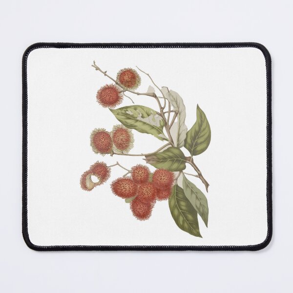 Item preview, Lychee plant art designed and sold by rubies-shop.
