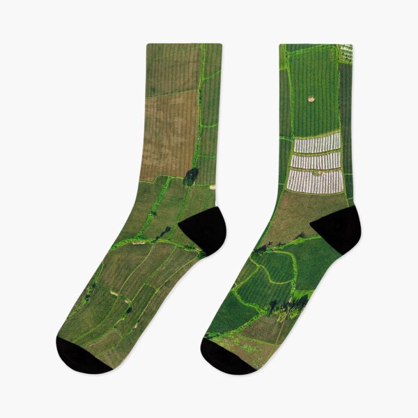Item preview, Top Down Drone View of Lush Rice Fields in Tetebatu, Lombok designed and sold by mattryanphoto.