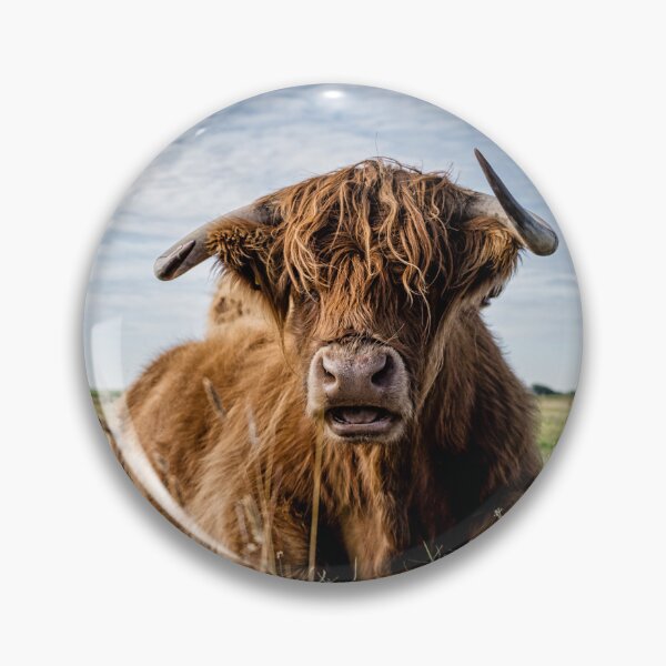 Item preview, Highland Cow Serenity – The Shaggy Icon  designed and sold by Artful-Roamer.