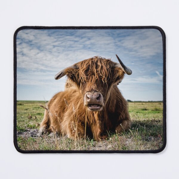 Item preview, Highland Cow Serenity – The Shaggy Icon designed and sold by Artful-Roamer.