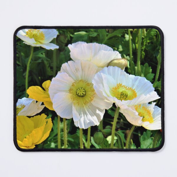 Item preview, White Floriade Flowers designed and sold by Yolanda Caporn Art.