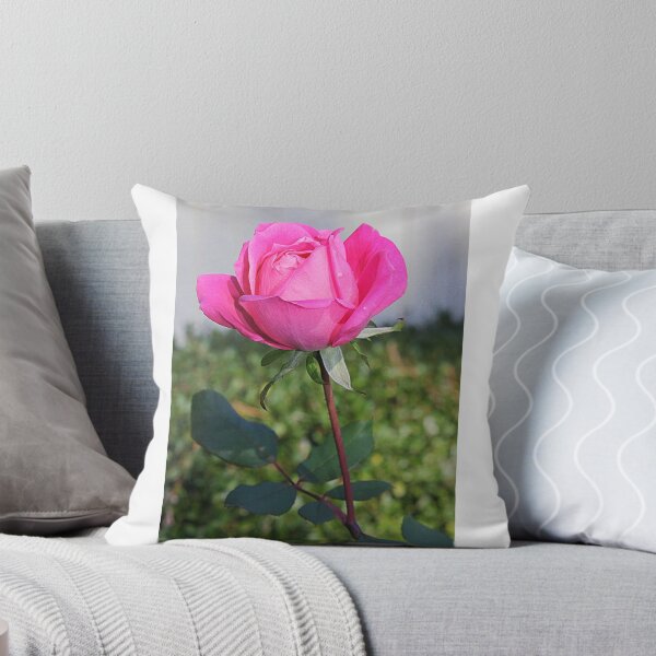 Item preview, Pink Single Rose designed and sold by Jill Bernier.